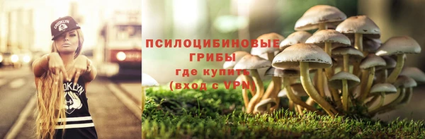 мет Тихвин