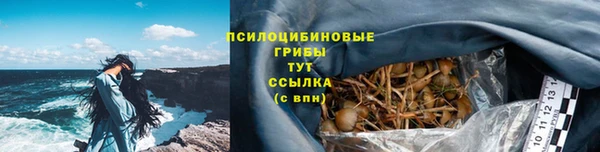 мет Тихвин
